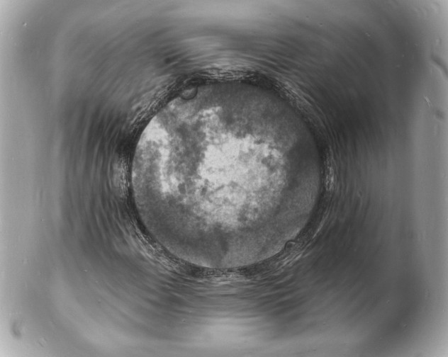 X0000102221108200808151658