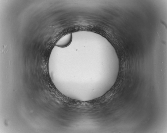 X0000102221109200808151659