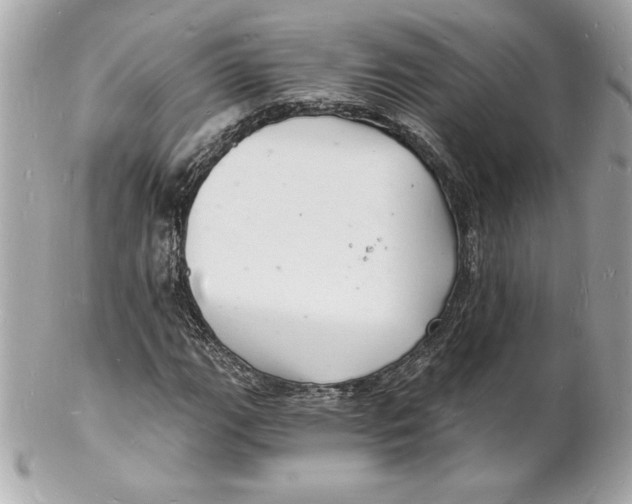 X0000102221111200808151659