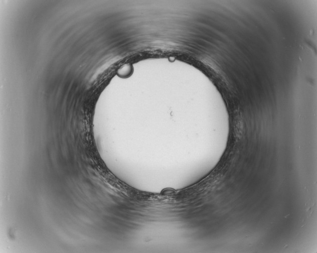 X0000102221112200808151659