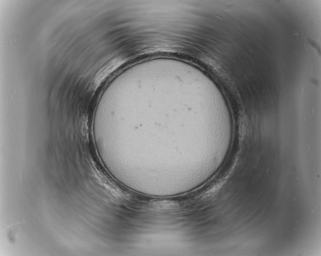 X0000102221113200808151659