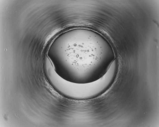 X0000102221114200808151659