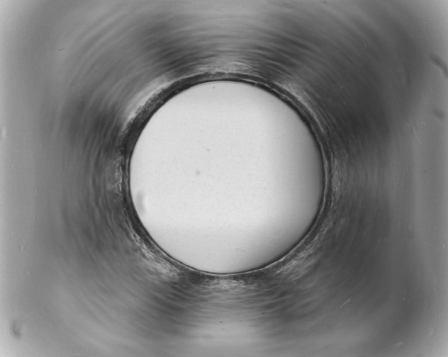 X0000102221115200808151659