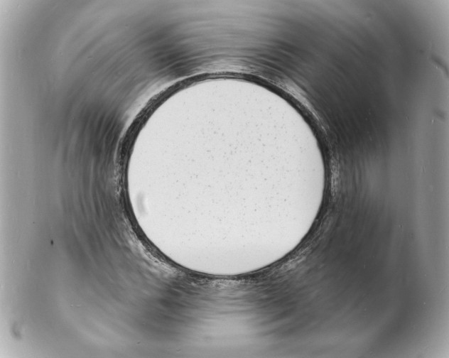 X0000102221116200808151659