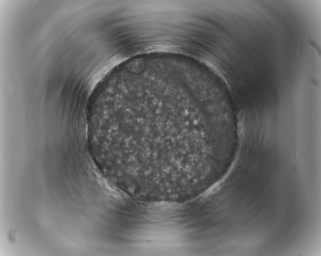 X0000102221117200808151659