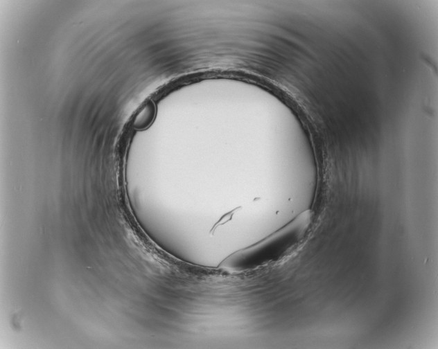 X0000102221118200808151659