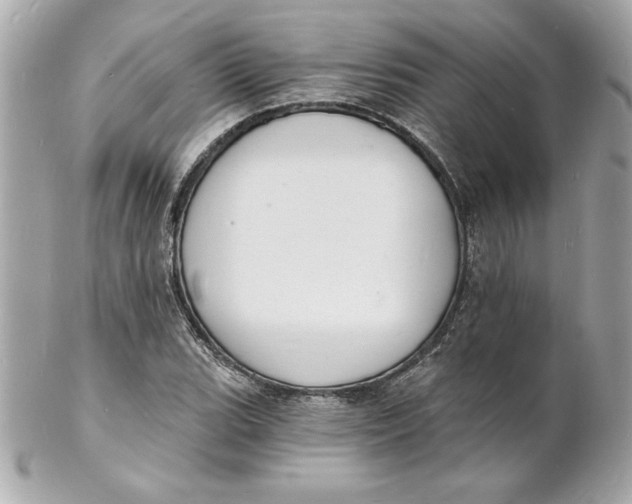 X0000102221119200808151659