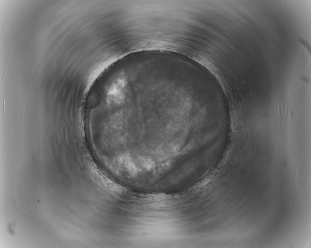 X0000102221120200808151659