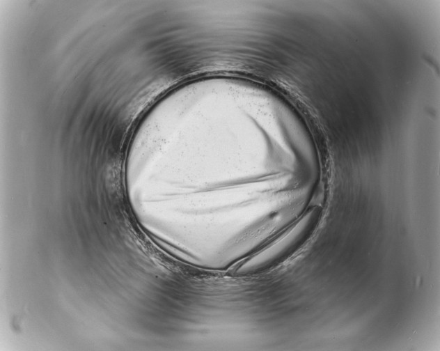 X0000102221121200808151659