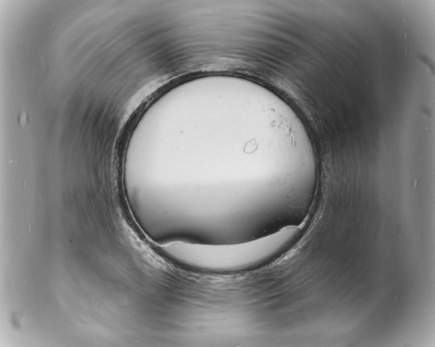 X0000102221122200808151659