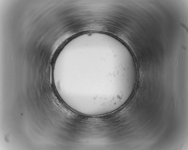 X0000102221123200808151659