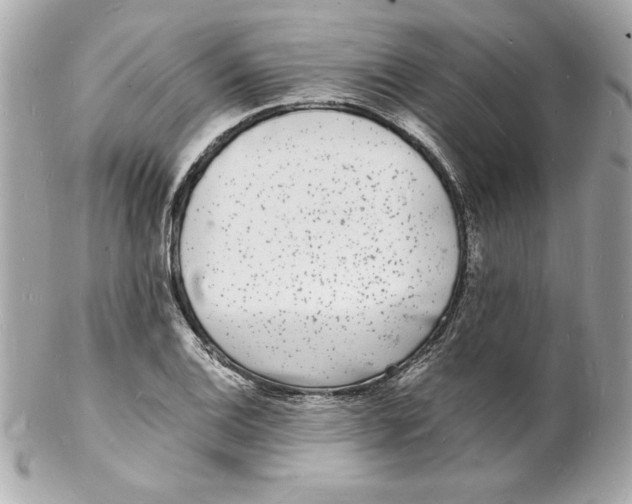 X0000102221124200808151659