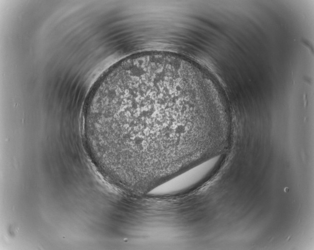 X0000102221125200808151659