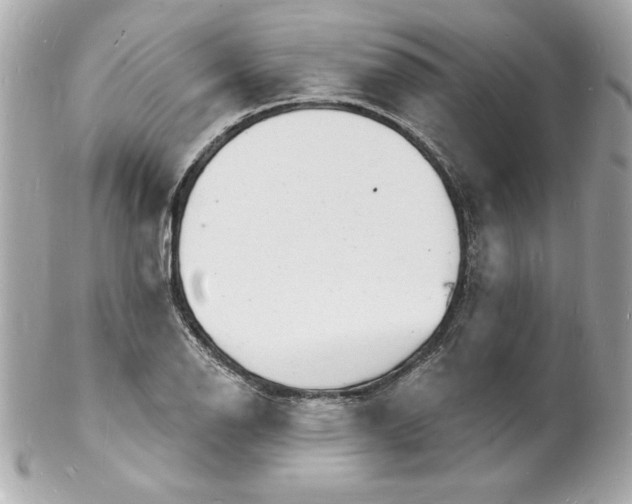 X0000102221126200808151659