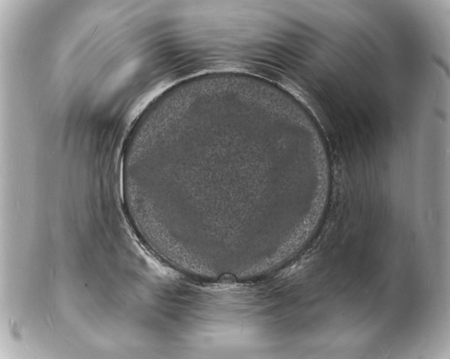 X0000102221127200808151659