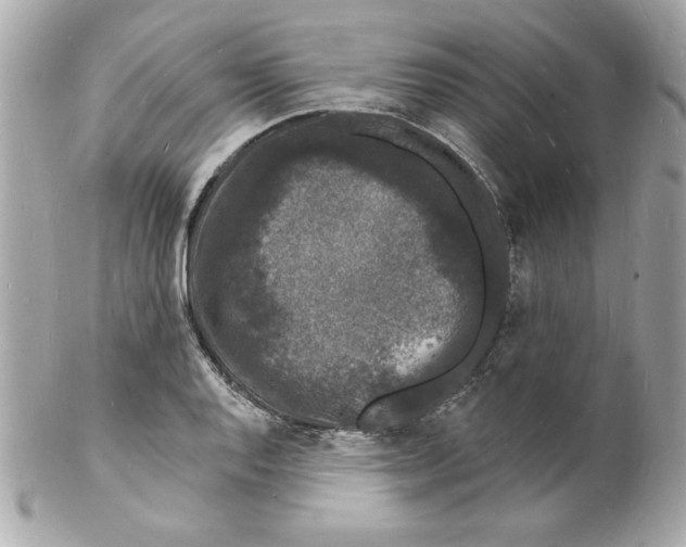 X0000102221128200808151659