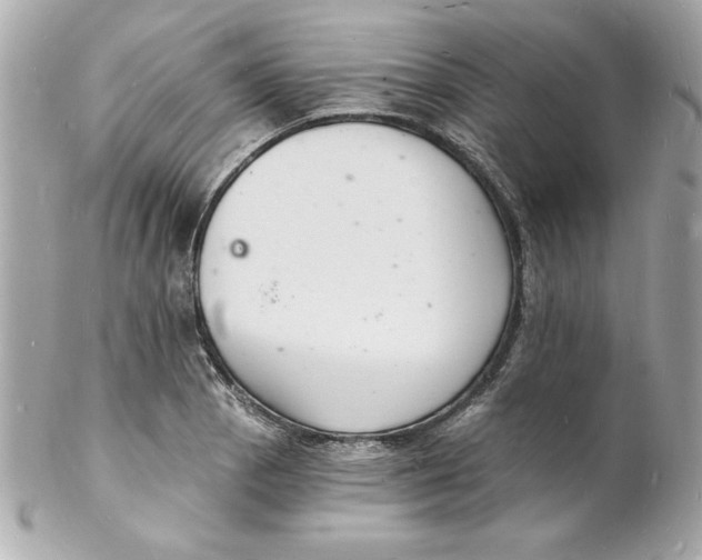 X0000102221129200808151659