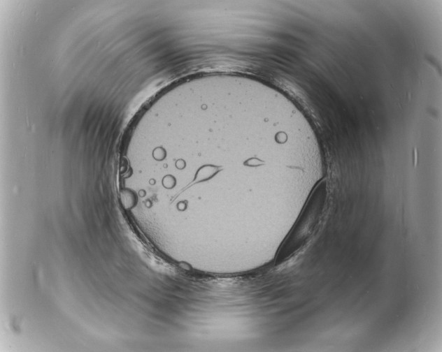 X0000102221130200808151659