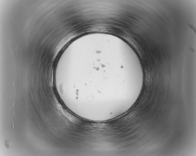 X0000102221131200808151659