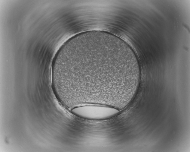 X0000102221132200808151659