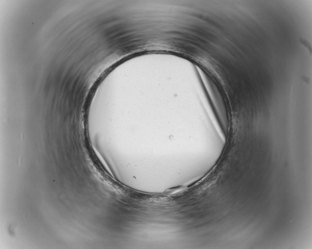 X0000102221133200808151659