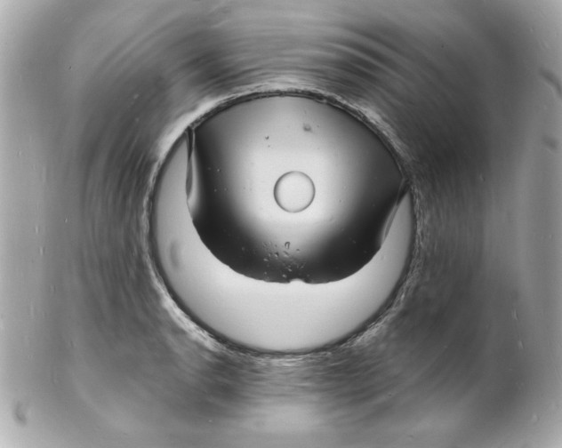 X0000102221134200808151659