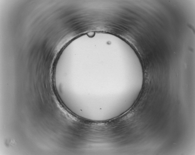 X0000102221135200808151659