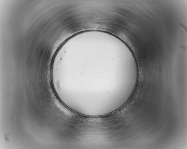 X0000102221136200808151659