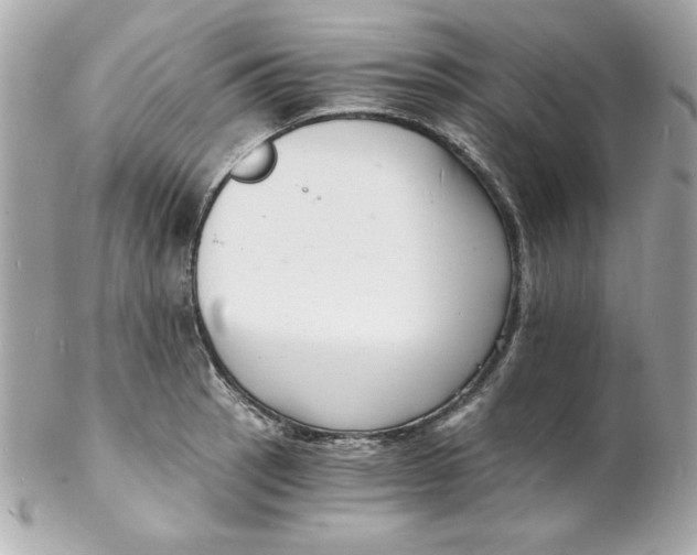 X0000102221137200808151659