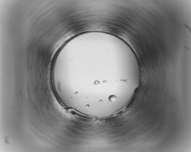 X0000102221139200808151659