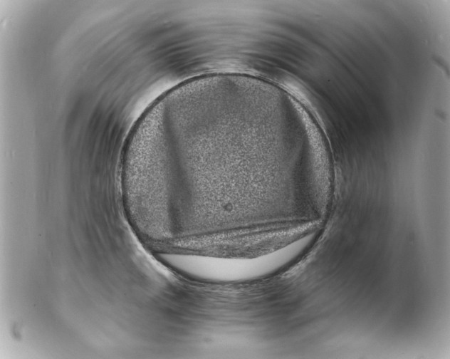 X0000102221141200808151659