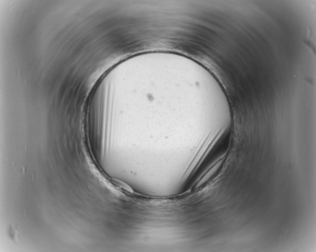 X0000102221142200808151659