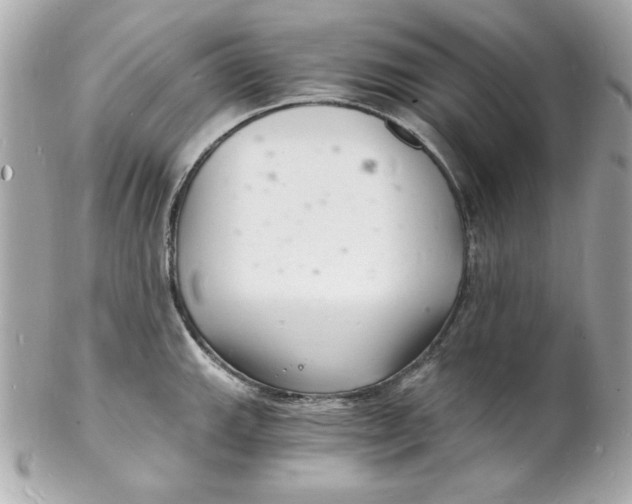 X0000102221143200808151659