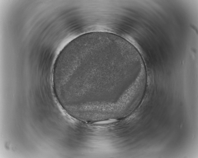 X0000102221144200808151659