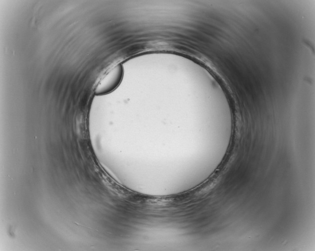 X0000102221145200808151659