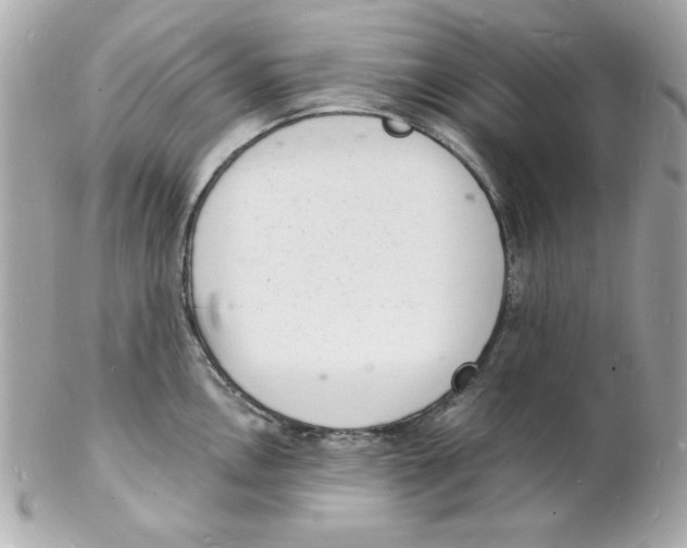 X0000102221146200808151659