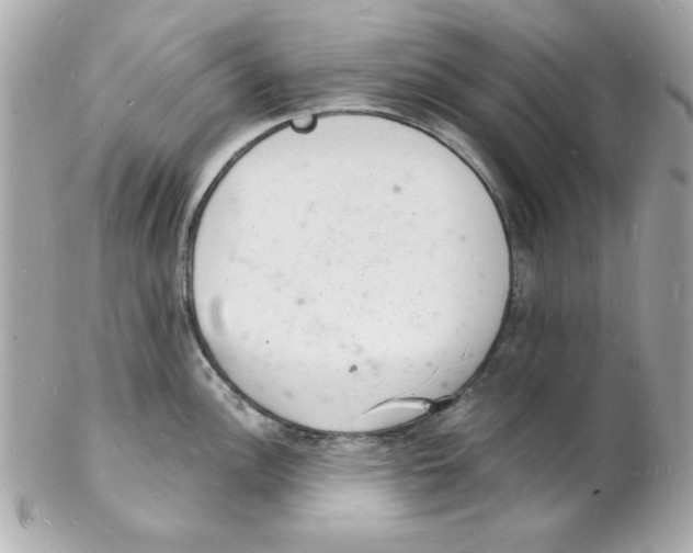 X0000102221148200808151659