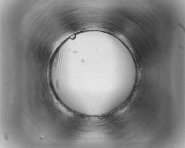 X0000102221149200808151659