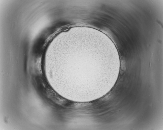 X0000102221150200808151659