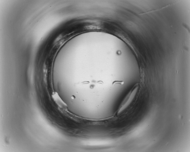 X0000102221151200808151659