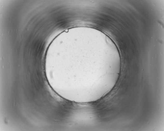 X0000102221152200808151659