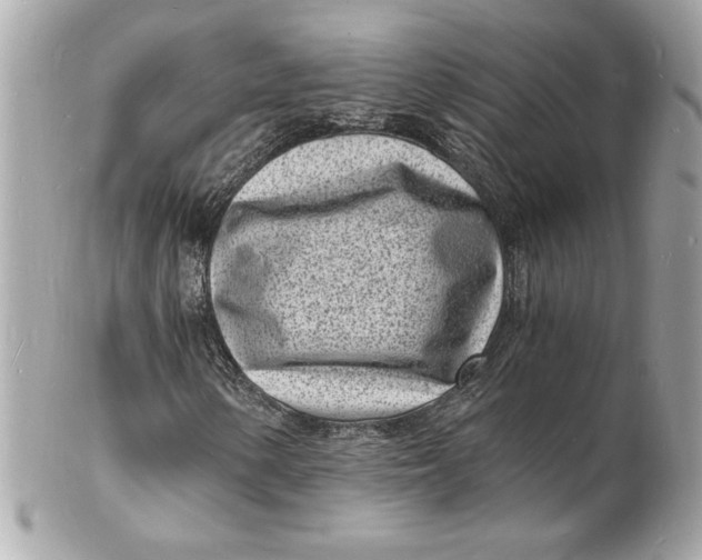 X0000102221154200808151658