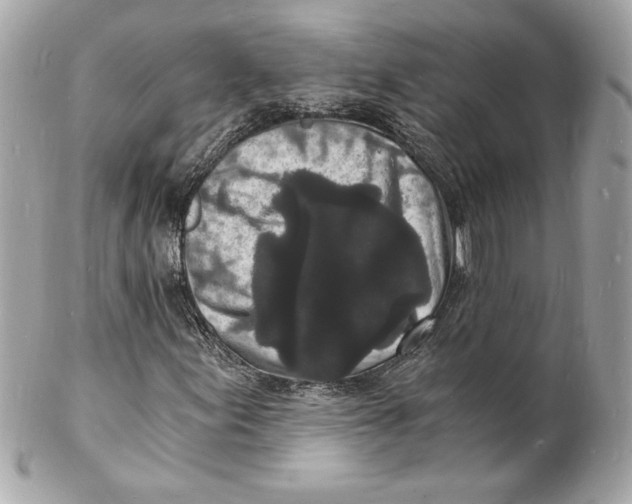 X0000102221155200808151658