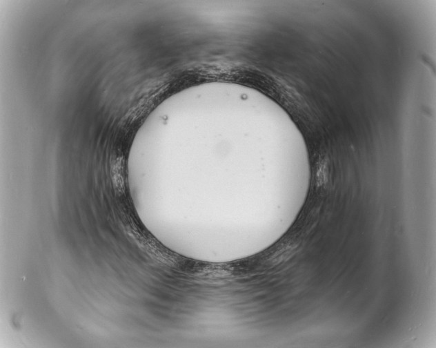 X0000102221156200808151658