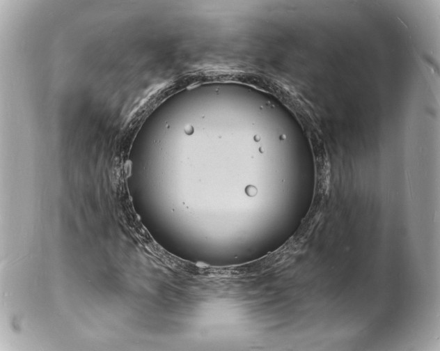 X0000102221157200808151658