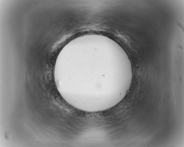 X0000102221159200808151658