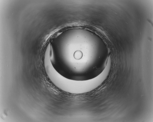 X0000102221160200808151658