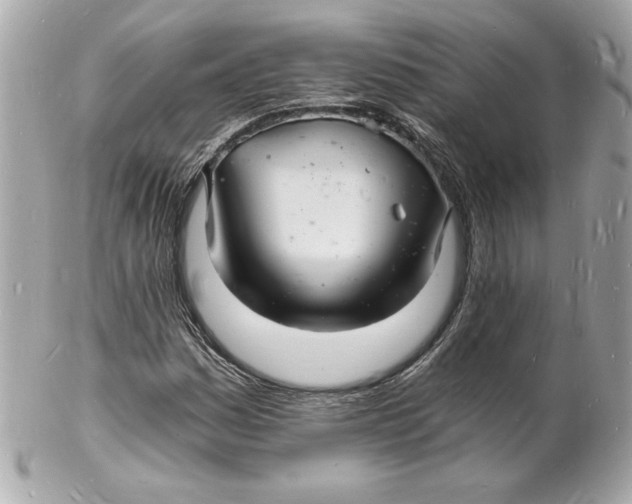 X0000102221161200808151658