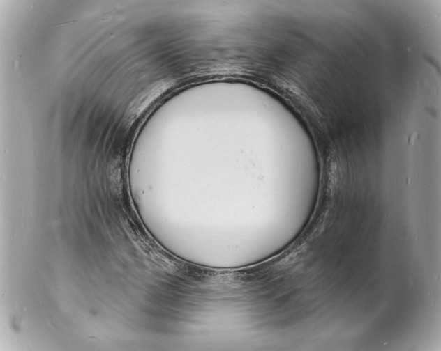 X0000102221162200808151658