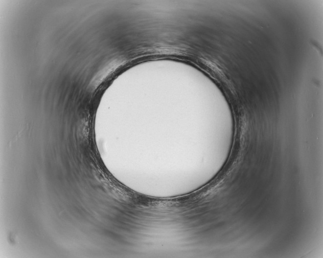 X0000102221163200808151658